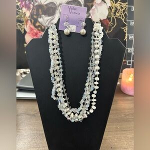 NWT necklace and earring set